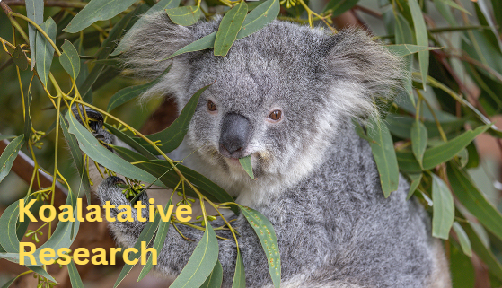 Koala Final
