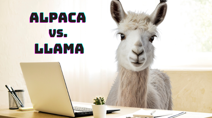 Llama at Desk - Alpaca vs Llama