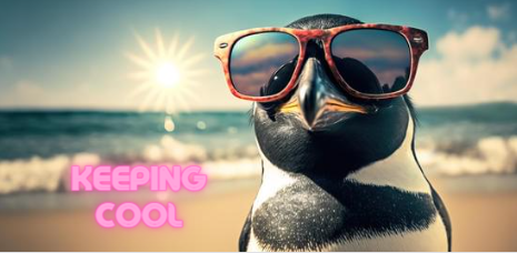 penguin in sunglasses keeping cool